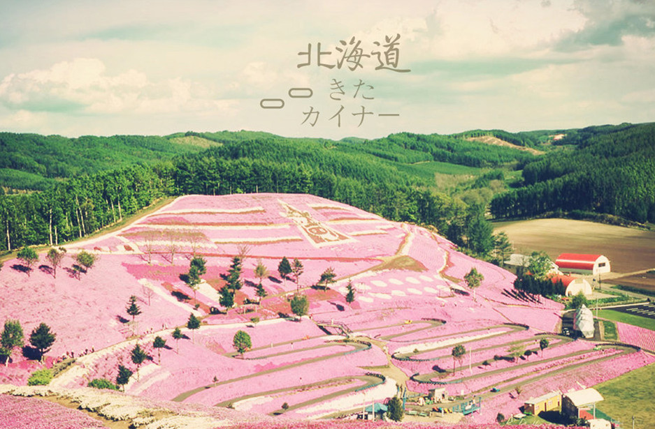 青岛直飞东京尊享7/8日游全程四星酒店-富士山 京都 奈良 （东京/大阪子自由行）