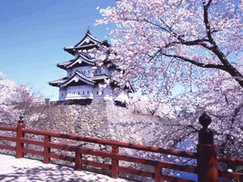 中国驻日本大使馆提醒中国游客在日赏樱有关注意事项